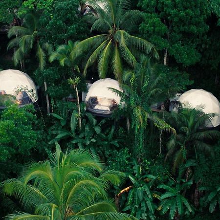 Lintang Luku Tent Resort Ijen, Banyuwangi Banyuwangi  Luaran gambar