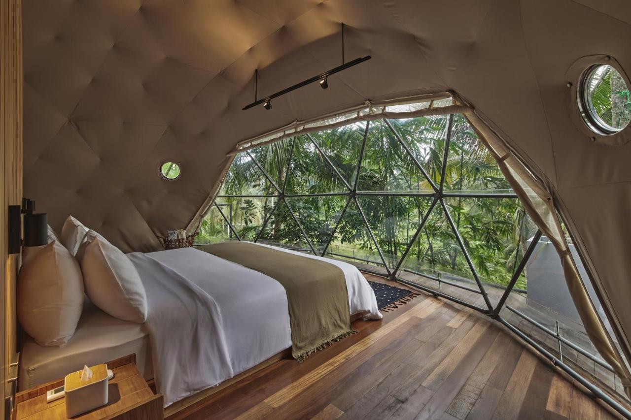 Lintang Luku Tent Resort Ijen, Banyuwangi Banyuwangi  Luaran gambar