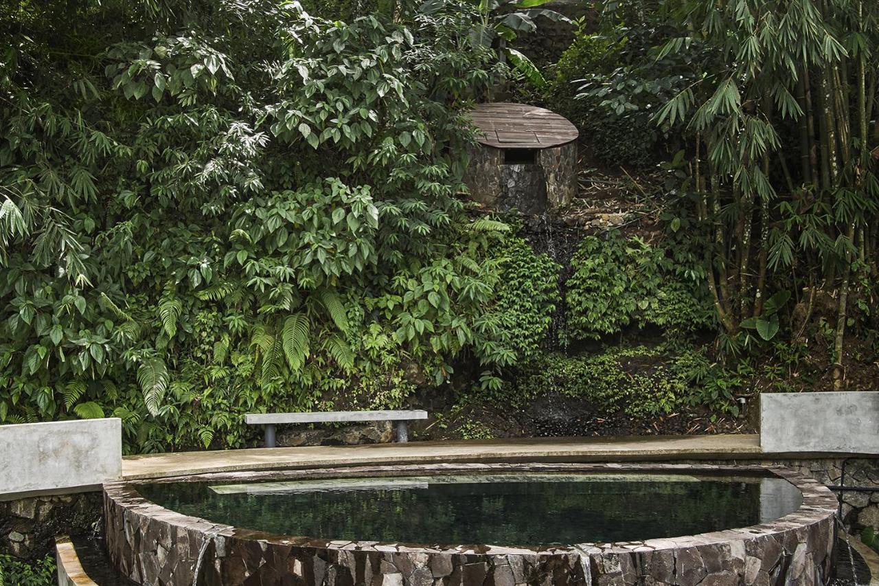 Lintang Luku Tent Resort Ijen, Banyuwangi Banyuwangi  Luaran gambar